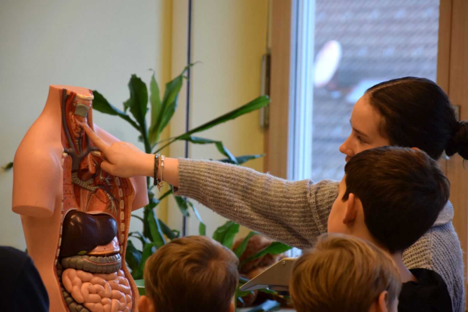 Eine Schülerin erklärt das Biologie-Modell (Organe) eines menschlichen Torso