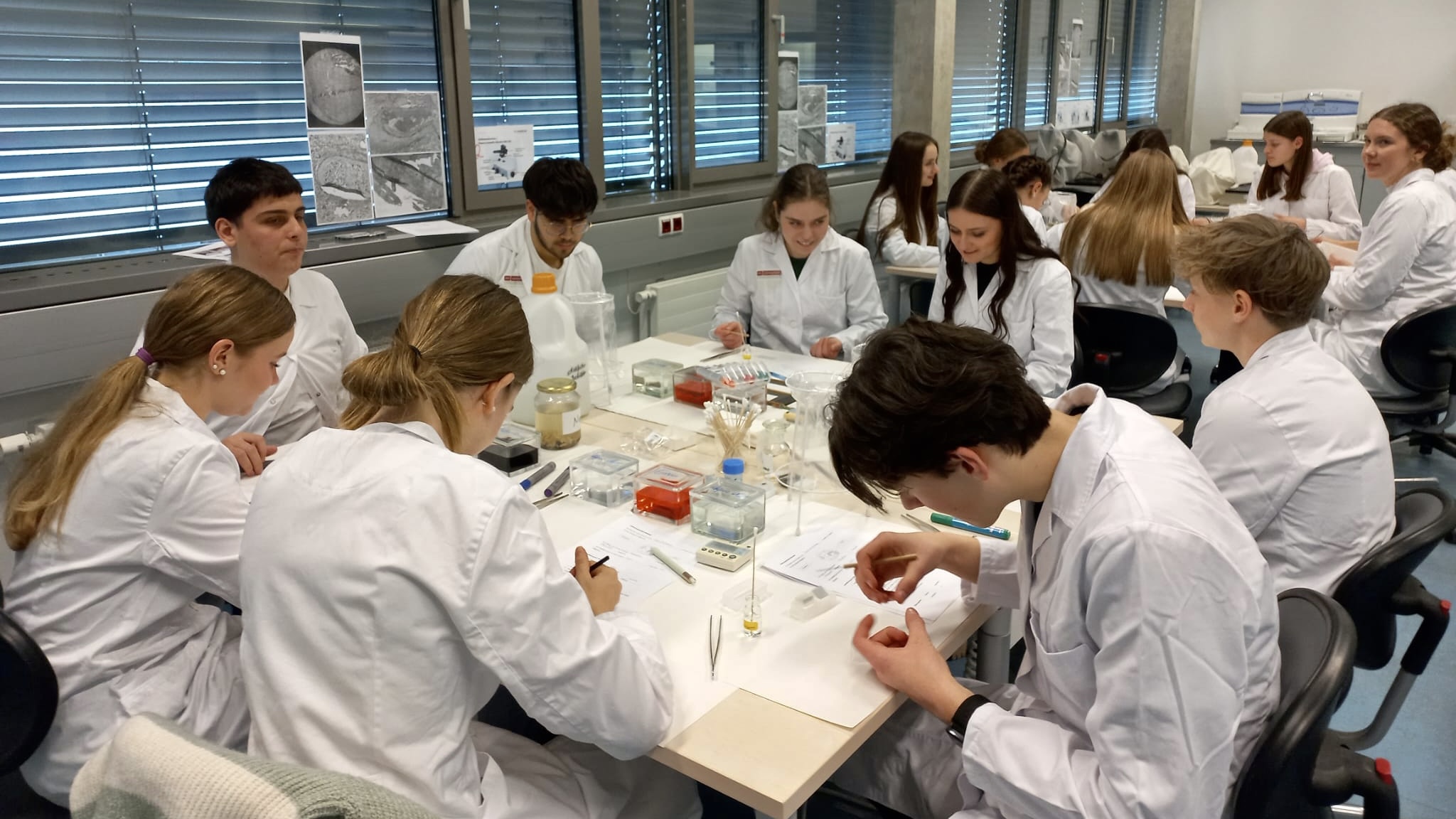 Eine Schülergruppe arbeitet gemeinsam im Labor.