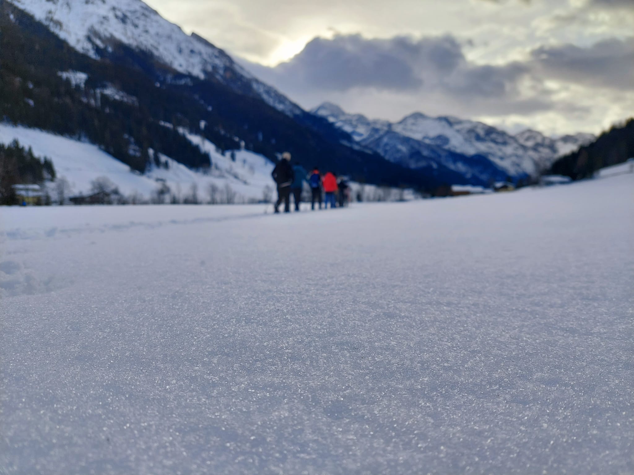 Eine Gruppe Langläufer in winterlicher Landschaft.